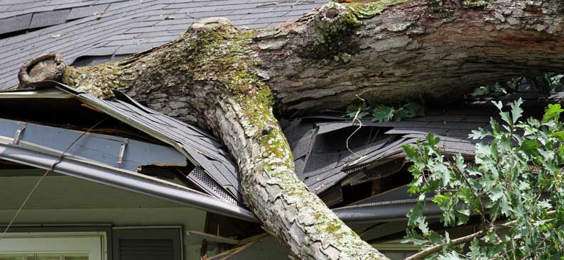 Emergency Roof Repair Services