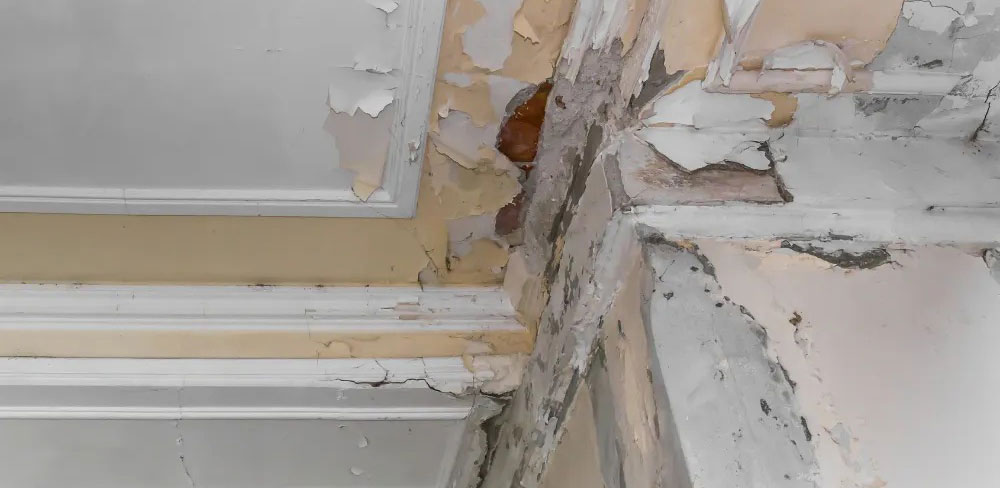 Home Against Moisture Challenges